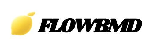 FLOWBMD logo